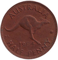 Кенгуру. Монета 1/2 пенни. 1964 год, Австралия.
