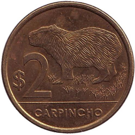 Монета 2 песо. 2012 год, Уругвай. Из обращения. Водосвинка (капибара).