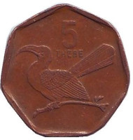 Птица-носорог. Монета 5 тхебе. 2002 год, Ботсвана.