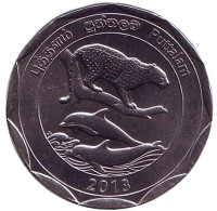 Путталам. Округа Шри-Ланки. Монета 10 рупий. 2013 год, Шри-Ланка. 