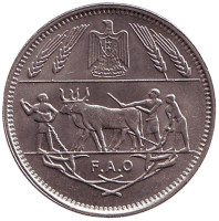 ФАО. Монета 10 пиастров. 1970 год, Египет.