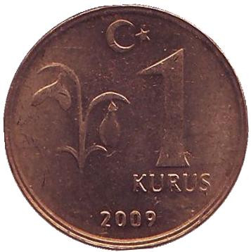 Монета 1 куруш. 2009 год, Турция. aUNC.