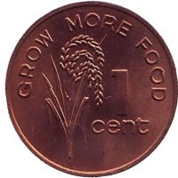 FAO. Монета 1 цент. 1977 год, Фиджи. UNC.