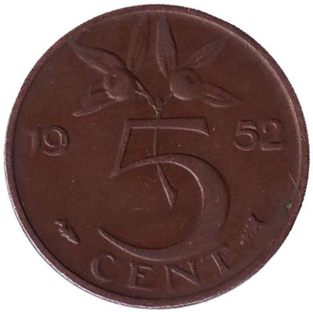 Монета 5 центов. 1952 год, Нидерланды.