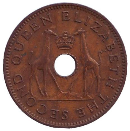 Монета 1/2 пенни. 1955 год, Родезия и Ньясаленд. Жирафы.
