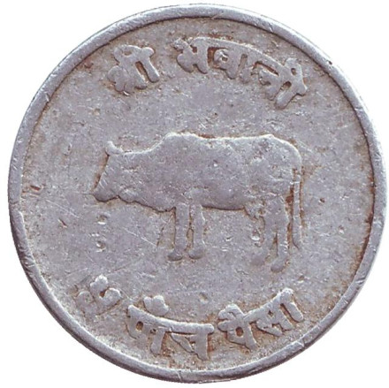 Монета 5 пайсов. 1969 год, Непал. Бык.