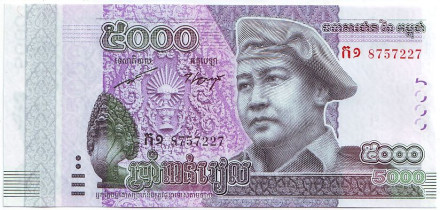 Банкнота 5000 риелей. 2015 год, Камбоджа.