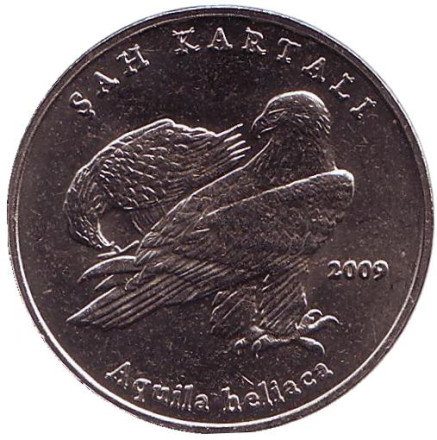 Монета 1 лира, 2009 год, Турция. Орел. Фауна Турции.