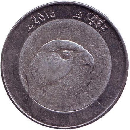 Монета 10 динаров. 2016 год, Алжир. Сокол.