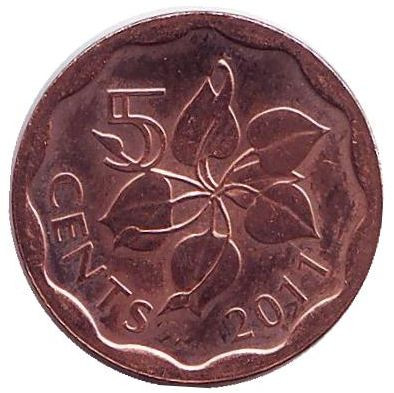 Монета 5 центов. 2011 год, Свазиленд. Орхидея.