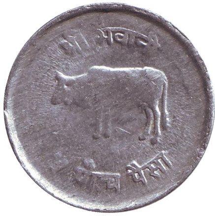Монета 5 пайсов. 1976 год, Непал. Бык.