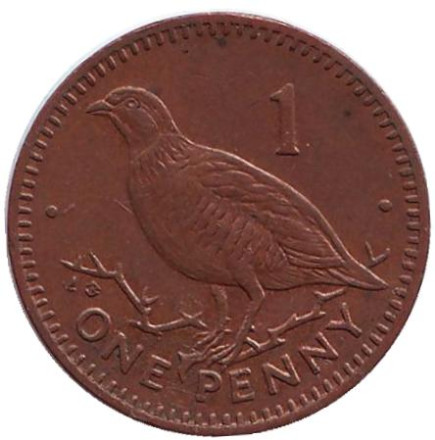 Монета 1 пенни, 1995 год, Гибралтар. (AB). Магнитная. Берберская куропатка.