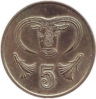 Монета 5 центов. 1992 год, Кипр. Бык. Монета 5 центов. 1992 год, Кипр. Бык.