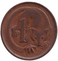 Карликовый летучий кускус. Монета 1 цент, 1975 год, Австралия. Из обращения.