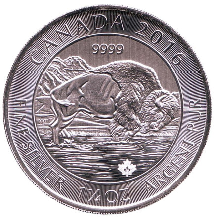 Монета 8 долларов. 2016 год, Канада. Бизон.