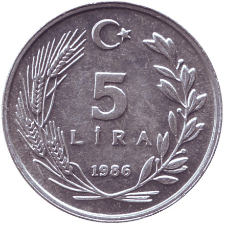 Монета 5 лир. 1986 год, Турция.