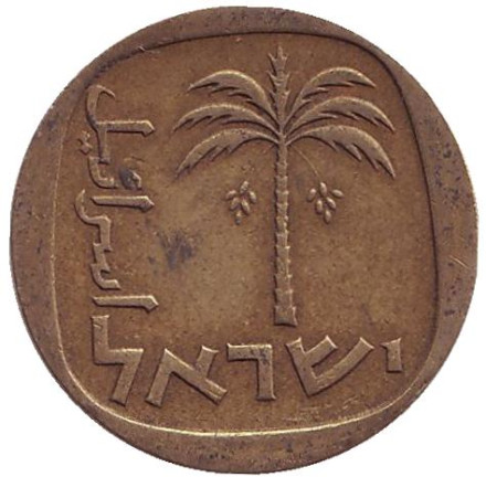 Монета 10 агор. 1963 год, Израиль. Из обращения. Пальма.
