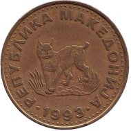 Монета 5 денаров, 1993 год, Македония. Европейская рысь. Монета 5 денаров, 1993 год, Македония. Европейская рысь.