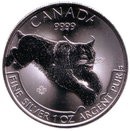 Монета 5 долларов. 2017 год, Канада. Рысь.