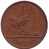 Птица. Ирландская арфа. Монета 1 пенни. 1963 год, Ирландия.