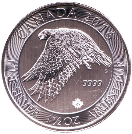 Монета 8 долларов. 2016 год, Канада. Сокол.