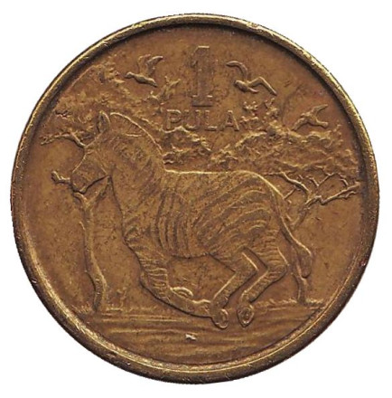 Монета 1 пула. 2013 год, Ботсвана. Зебра.