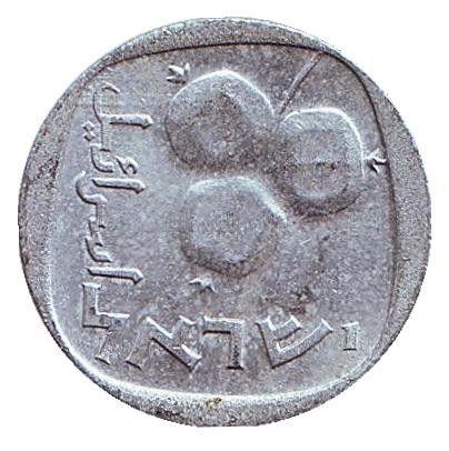 Монета 5 агор. 1976 год, Израиль. Гранат.