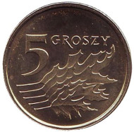 Монета 5 грошей. 2017 год, Польша. Дубовые листья. Монета 5 грошей. 2017 год, Польша. Дубовые листья.