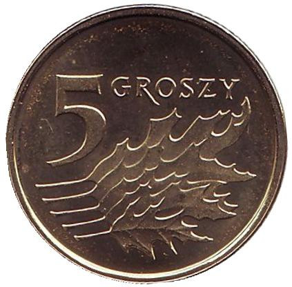 Монета 5 грошей. 2017 год, Польша. Дубовые листья.