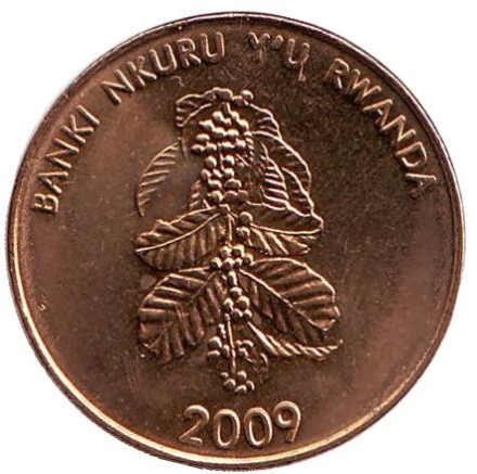Монета 5 франков. 2009 год, Руанда. UNC. Цветок кофейного дерева.