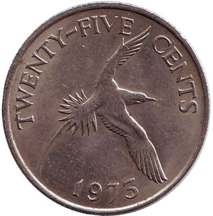 1973-1bi.jpg