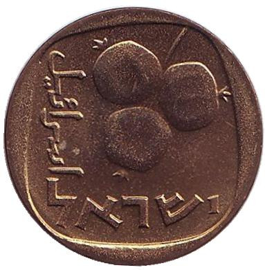 Монета 5 агор. 1963 год, Израиль. UNC. Гранат.