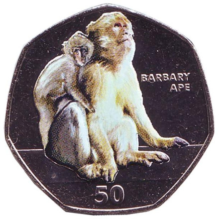 Монета 50 пенсов. 2018 год, Гибралтар. Магот. (Берберская обезьяна).