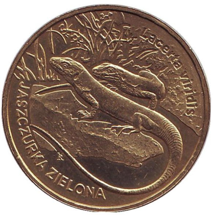 Монета 2 злотых, 2009 год, Польша. Зеленая ящерица.
