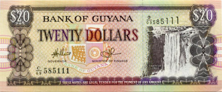 monetarus_banknote_Guyana_20dollarov_1996_1.jpg