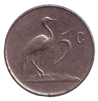 Монета 5 центов. 1967 год, Южная Африка. (South Africa). Африканская красавка.
