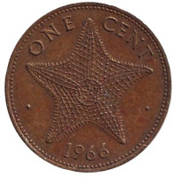 Морская звезда. Монета 1 цент. 1966 год, Багамские острова. 