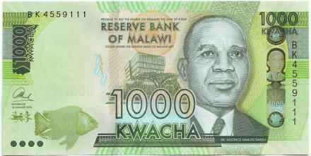 Банкнота 1000 квача. 2016 год, Малави. Хастингс Банда.
