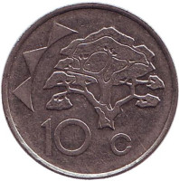Акация. Монета 10 центов. 1996 год, Намибия.