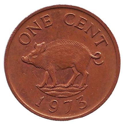 Монета 1 цент. 1973 год, Бермудские острова. Поросенок.