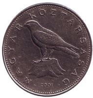 Монета 50 форинтов. 2001 год, Венгрия. Сокол. (Балобан). Монета 50 форинтов. 2001 год, Венгрия. Сокол. (Балобан).