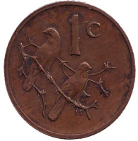 Воробьи. Монета 1 цент. 1978 год, ЮАР. 