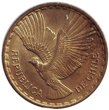 Монета 2 чентезимо. 1969 год, Чили. Кондор.
