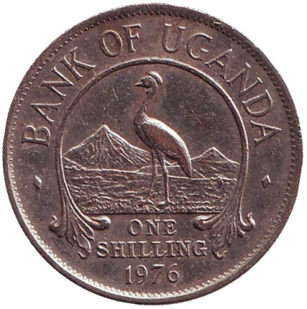 Монета 1 шиллинг. 1976 год, Уганда. Райский журавль. (Африканская красавка).