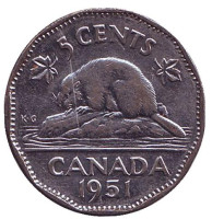 Бобр. Монета 5 центов, 1951 год, Канада. 