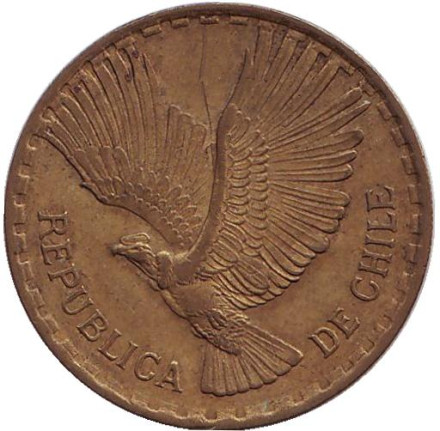 Монета 5 чентезимо. 1964 год, Чили. Кондор.