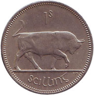 Монета 1 шиллинг. 1959 год, Ирландия. Бык. Монета 1 шиллинг. 1959 год, Ирландия. Бык.