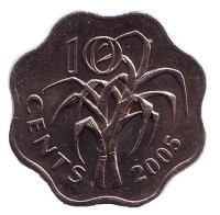 Сахарный тростник. Монета 10 центов, 2005 год, Свазиленд.