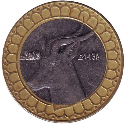 Монета 50 динаров. 2009 год, Алжир. Газель.