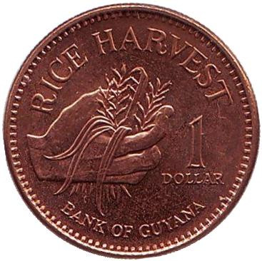 Монета 1 доллар, 2005 год, Гайана. Урожай риса.